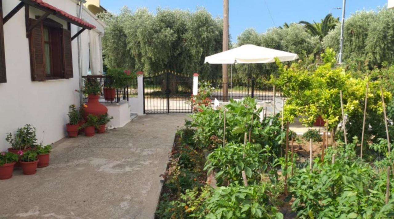 Katerina'S Cozy Home สกาลาโซติรอส ภายนอก รูปภาพ
